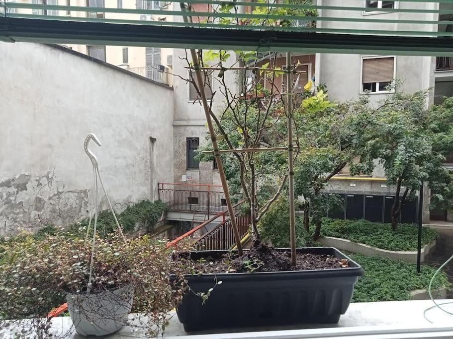 Il Grande Blu Lägenhet Milano Exteriör bild